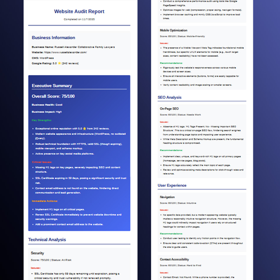 WebScanr PDF audit report example